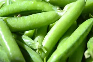 Arveja verde fresca de altura